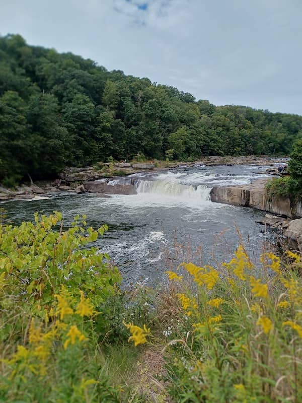 Ohiopyle - Image 3