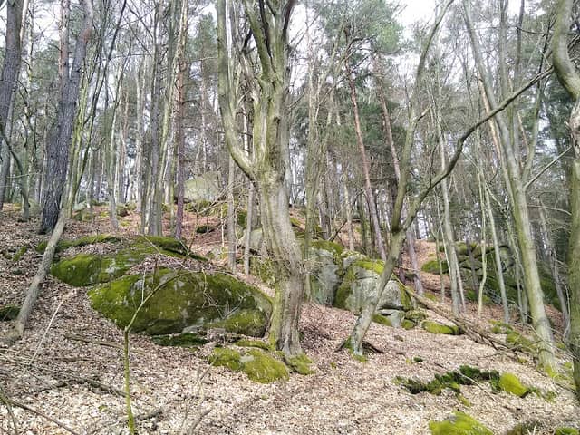 Hrazany - Image 1