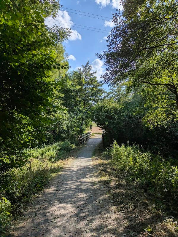 Holzbrücke - Image 2