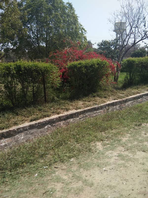 Children Park - Image 1