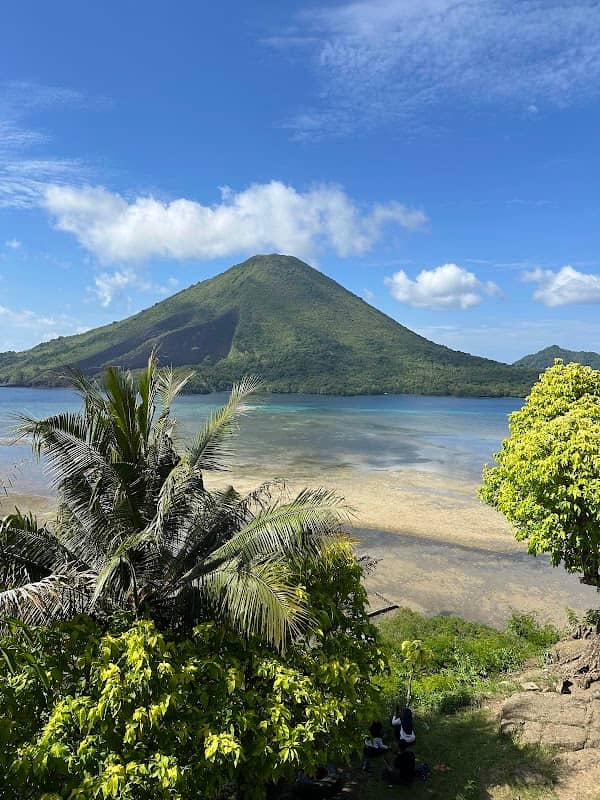 Pohon Sejuta Umat (Pohon Talang) - Image 1