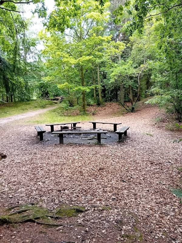 Fosdal spændende sted - Image 2