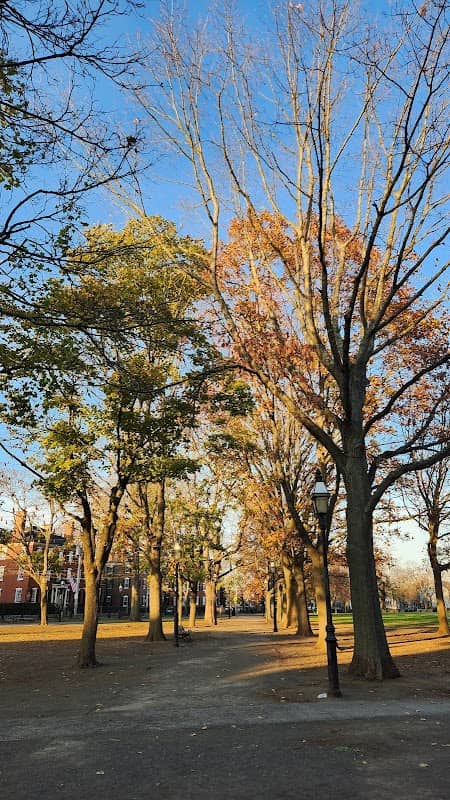Salem Common - Image 1