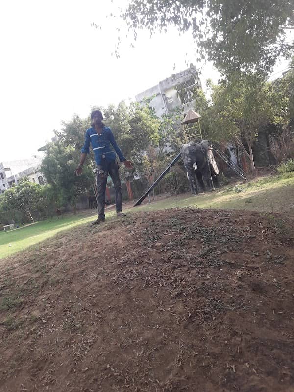 Talati Baag /Talati Garden - Image 1
