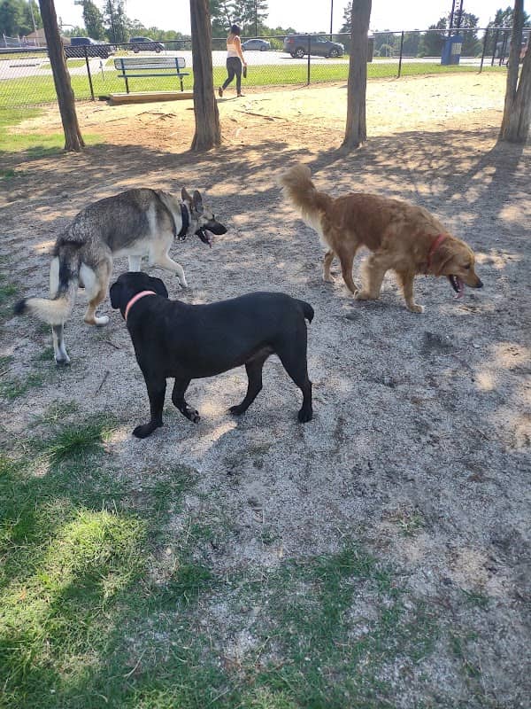 Barkdale Dog Park - Image 2