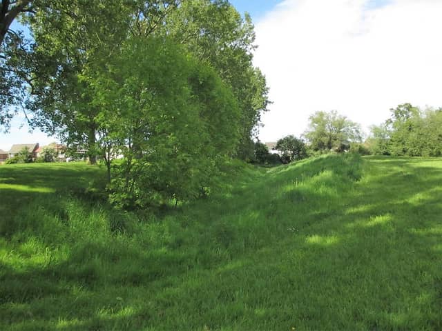 Daffodil Park - Image 1