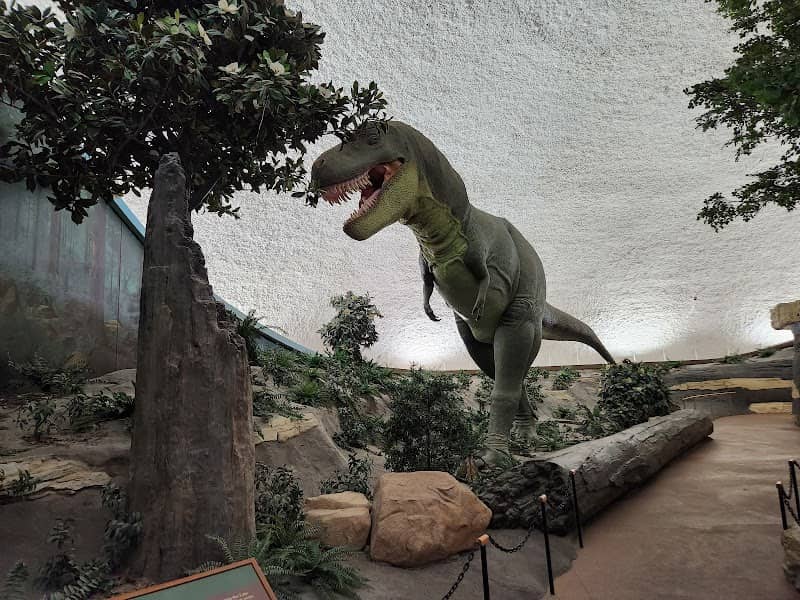 Sternberg Museum of Natural History - Image 2