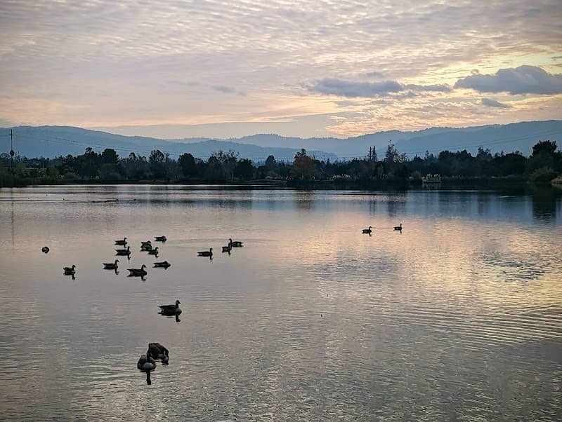 Los Gatos Creek County Park - Image 2