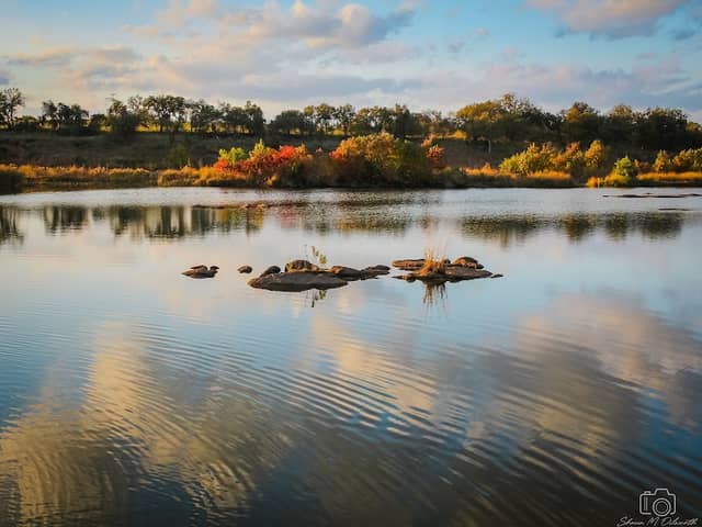 Noah Thompson Park - Image 2