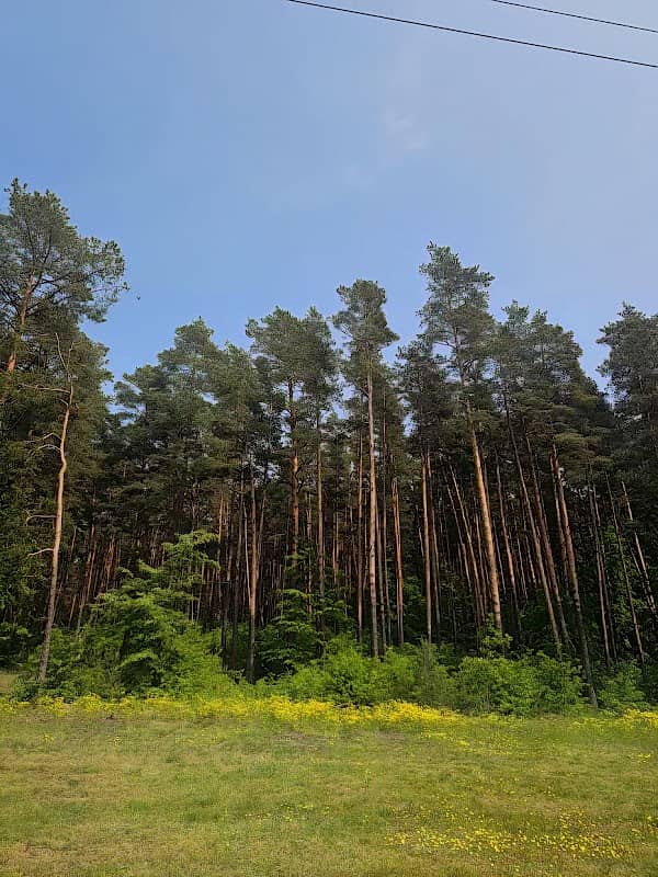 Kauno marių regioninis parkas - Image 2