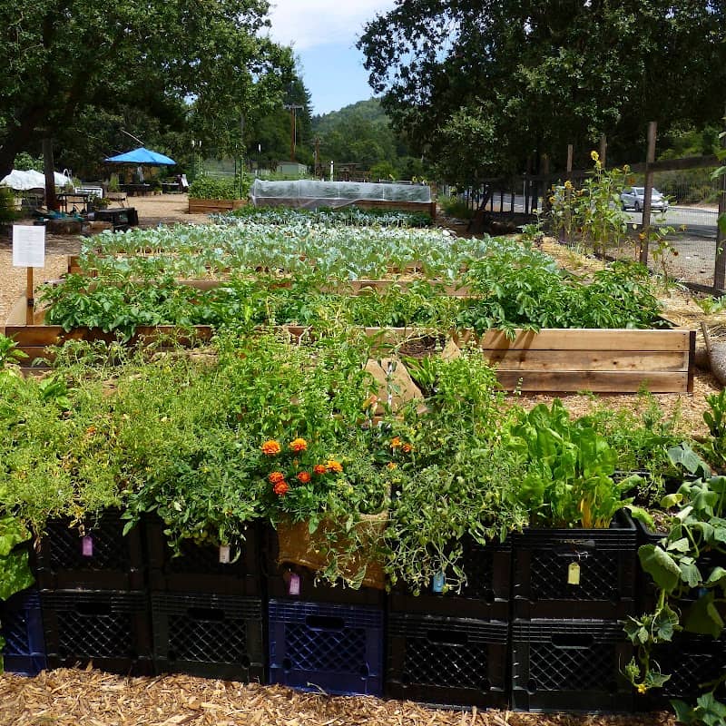 Lafayette Community Garden and Outdoor Learning Center - Image 2