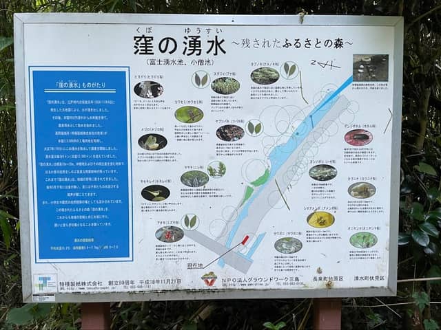 窪の湧水 - Image 1