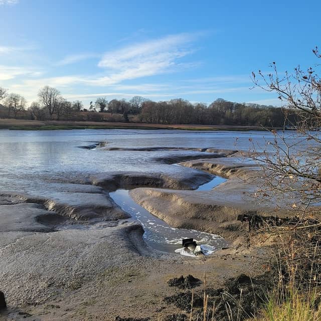 Martlesham Wilds Nature Reserve - Suffolk Wildlife Trust - Image 2