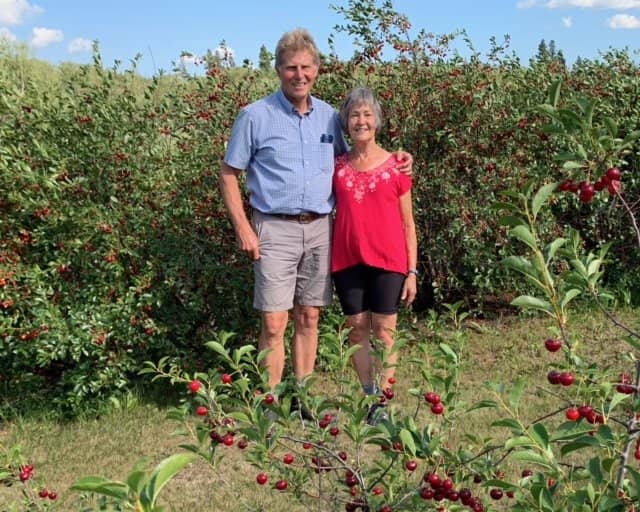 Frandsen Sour Cherry Orchard - Image 2