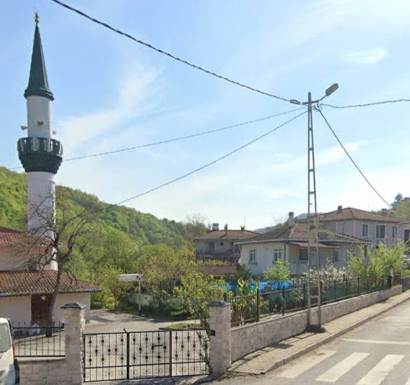 Bozgoca Köyü Cami - Image 1