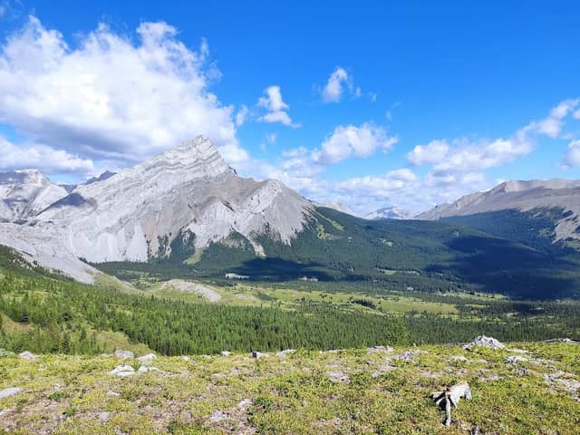 Rae Lake Trail - Image 2