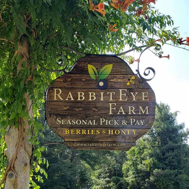 RabbitEye Farm - Image 1