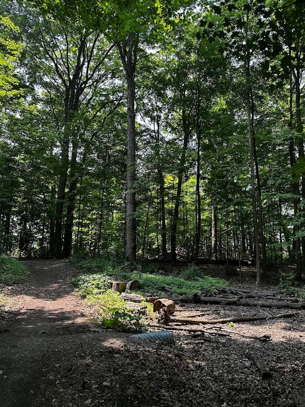 Westney Woods Parkette - Image 2
