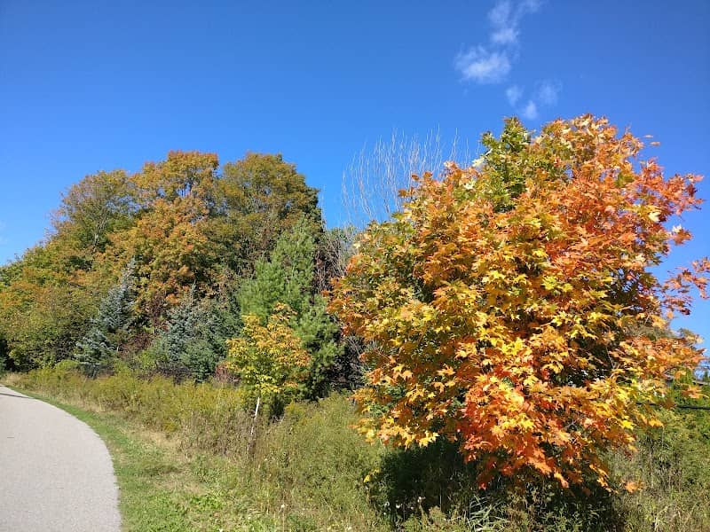 Westney Woods Parkette - Image 1