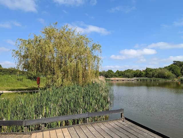 Southern Country Park - Image 3