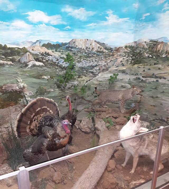 Roberts County Museum - Image 1