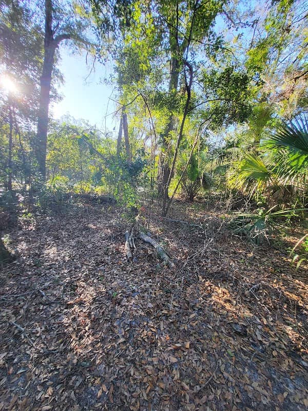 Greenwood Park - Image 1