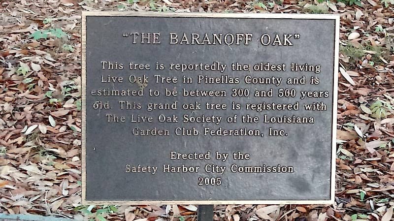 Baranoff Park - Image 2