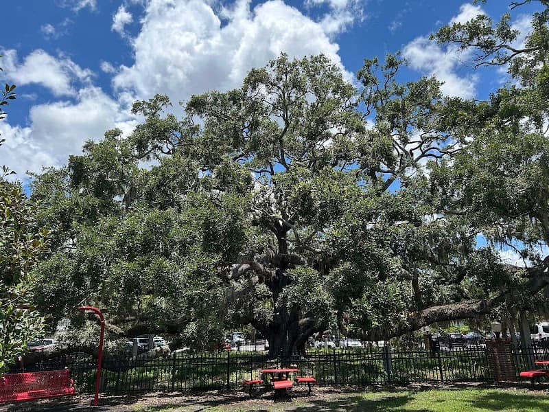 Baranoff Park - Image 1