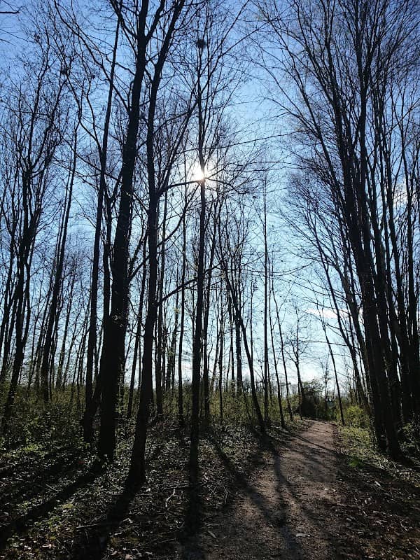 Bosco Galilei - Image 3