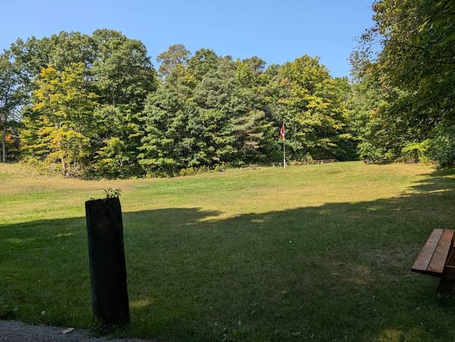 Woodland Trails - Paddock Area - Image 1