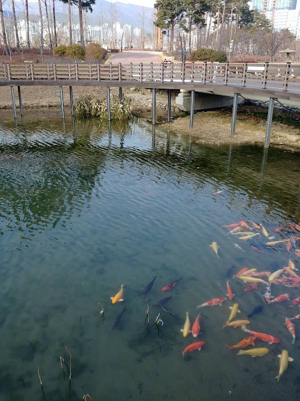 Busan Citizens Park - Image 2
