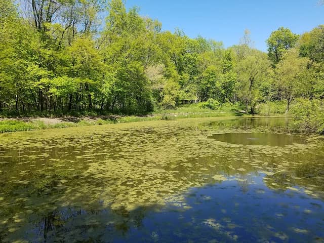 Humiston Woods Nature Preserve - Image 1