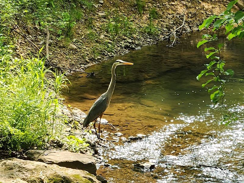 Washingtonian Woods Park - Image 1