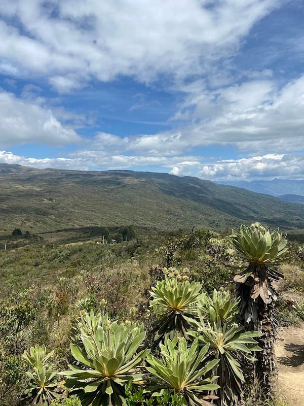 Matarredonda - Image 1