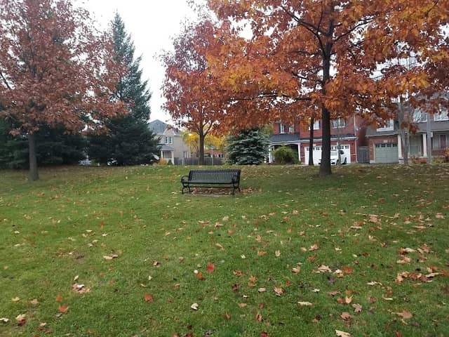 Chelsea Park - Image 1