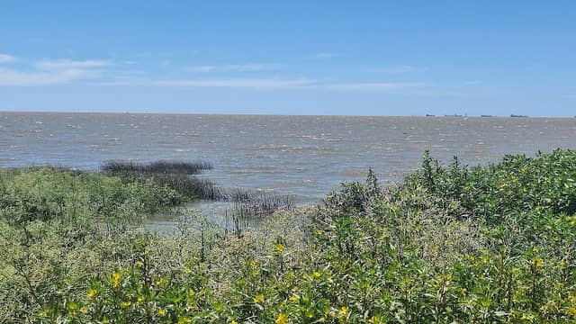 Punta Lara - Image 1
