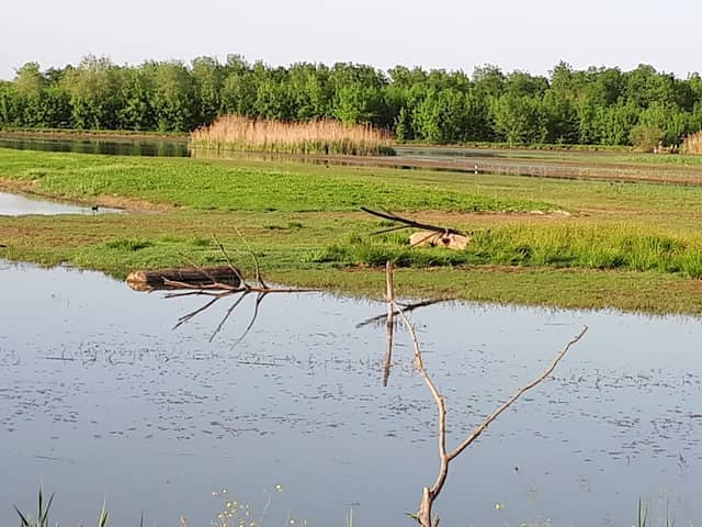 Oasi La Francesa - Image 1