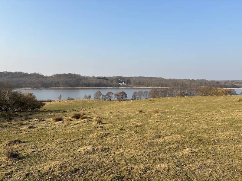 Haderslev Sønderskov - Image 1
