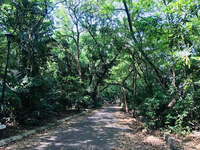 Arroceros Forest Park - Image 2