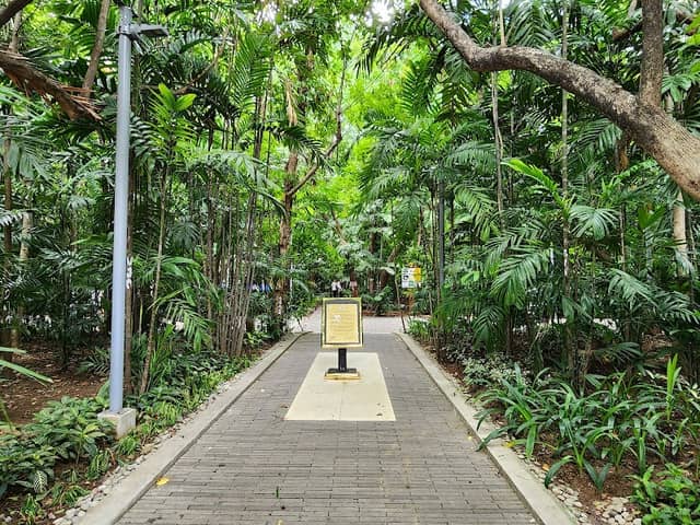 Arroceros Forest Park - Image 3