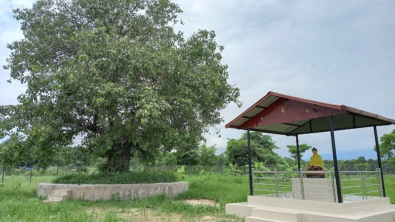 Buddha Chaupari Park - Image 1
