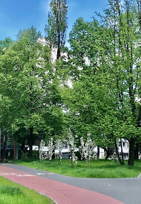 Trakt Rudzki - Image 2
