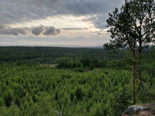Korpeberget - Image 1