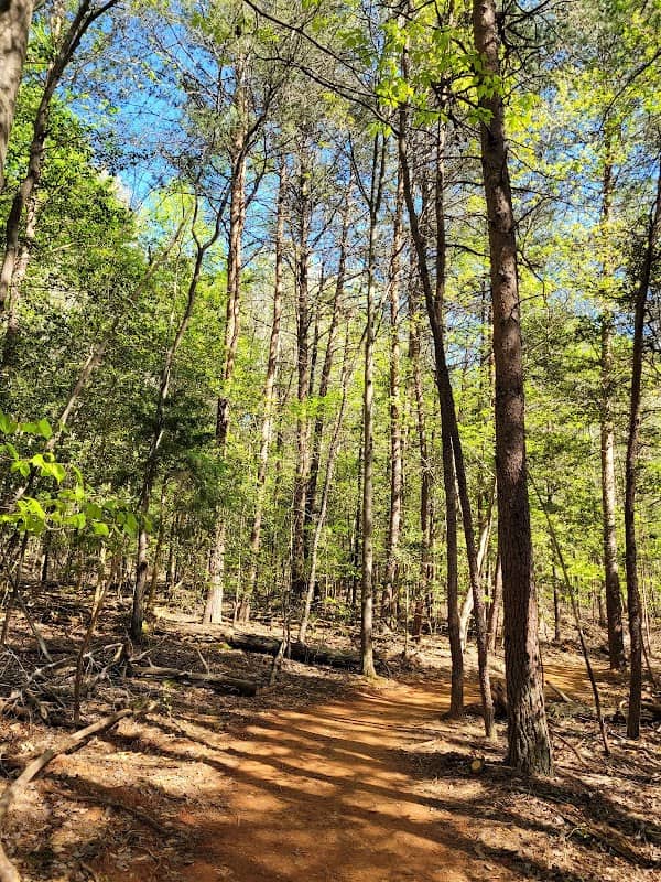 Lake Shore Trail Parking - Image 1