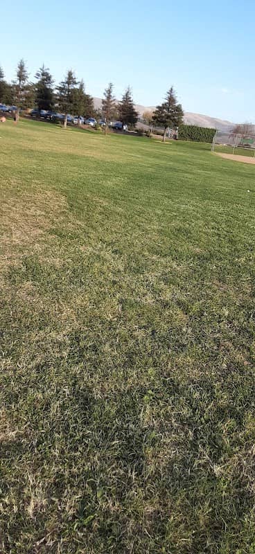 Sierra Vista Park - Image 1