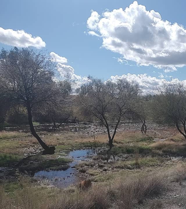 Skunk Creek Linear Park - Image 2