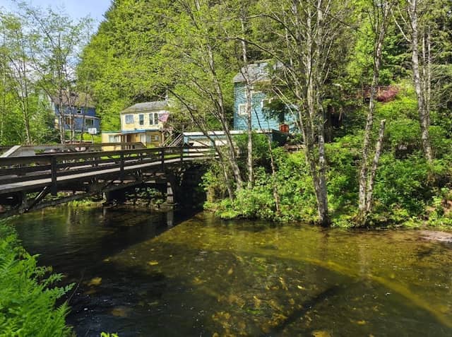 Ketchkan Creek - Image 2