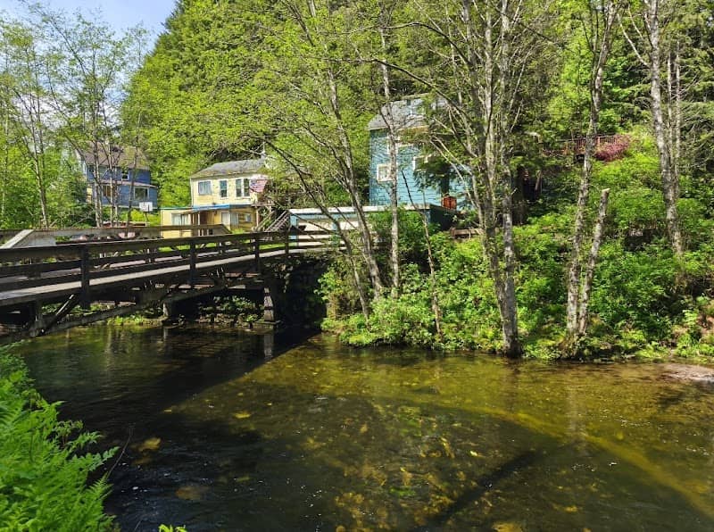 Ketchkan Creek - Image 2