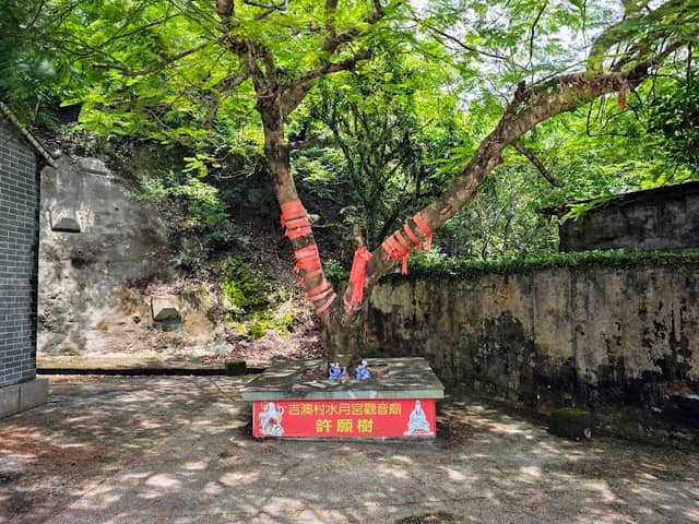 Kat O Wishing Tree - Image 1