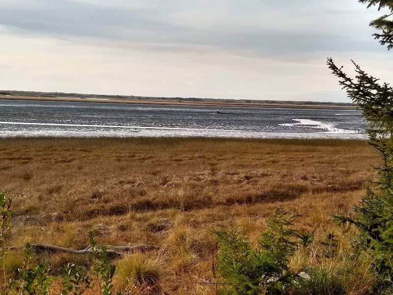 Bandon Marsh National Wildlife Refuge - Image 1